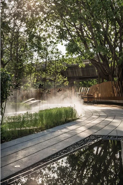Mist Garden